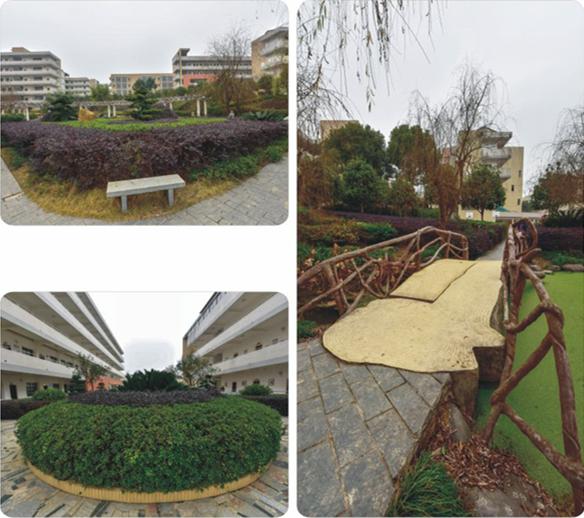 新文中学-湖南园林景观工程-湖南柏嘉兄弟园林建设有限公司