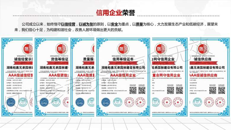 湖南柏嘉兄弟园林建设有限公司-企业宣传 - 副本_16.jpg