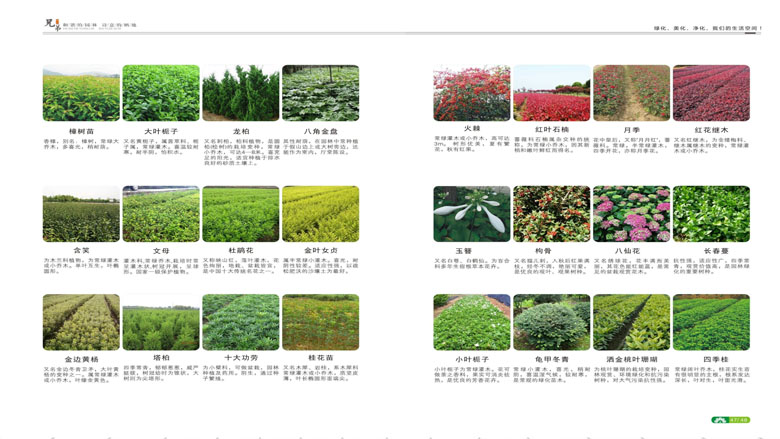 湖南柏嘉兄弟园林建设有限公司-企业宣传 - 副本_101.jpg